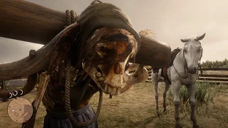 O domador de cavalos - Em busca do Appaloosa e achei a MULHER-BURRO - Red Dead Redemption 2