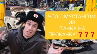 МУСТАНГ из шоу Димы Гордея "Тачка на прокачку".Что с ним стало за год эксплуатации❓🇺🇸🐎