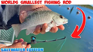 WORLD'S SMALLEST FISHING ROD Saltwater Edition 2023