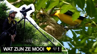 Vlog #265: OH YESSS WIELEWAAL! | Sony A7 IV | Nikon P1000