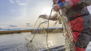 ЭТО НЕ РЫБАЛКА, А ЖОР КАКОЙ-ТО.ВОТ ЭТО ПОПËРЛО!!! ТАКОЕ БЫВАЕТ 1 РАЗ В ЖИЗНИ!!