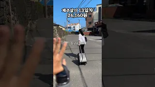 다시 혼자가 된 제주살이