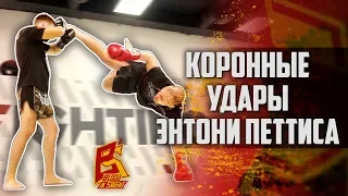 Коронные удары Энтони Петтиса. Удар ногой от сетки. Showtime kick