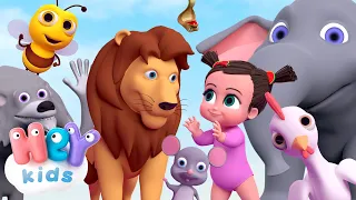 Les animaux pour bébé | son des animaux | HeyKids - Chansons pour enfants