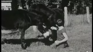 Portrait du petit Mehdi El Glaoui en 1965