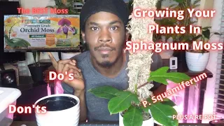 How I Grow My Plant Collection In Sphagnum Moss With A Re-Pot