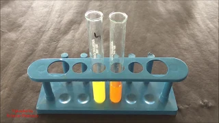 Phytochemical Test for Flavonoid = Evaluation of Herbal Medicine | Flavonoid Identification Test