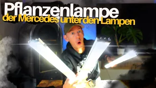 Die perfekte Pflanzenlampe für deine Zimmerpflanzen - LED SANlight Flex 2