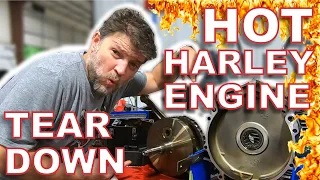 HOT Harley Twin Cam Engine Tear Down | Harley Trike | Engine Teardown | Kevin Baxter | Pro Twin Perf