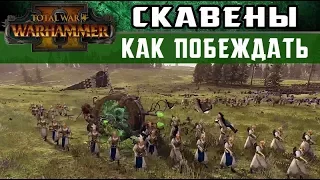 🇷🇺 Скавены Как побеждать за них в Total War Warhammer 2  (с переводом на русский)