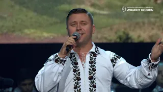 Iulian Corochi -  Satul meu Cormaci de lângă Prut #IulianCorochi