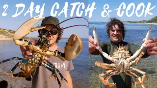 FORAGING IN THE UK FOR LOBSTERS & CRABS | PRAWNS | FISHING - CAMPING CATCH & COOK WITH TAOUTDOORS