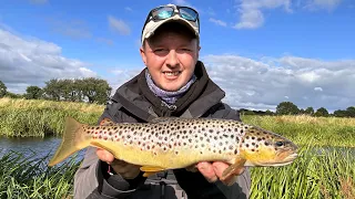 Brown Trout fishing in Ireland!