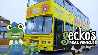 Gecko and the PARTY BUS! | Gecko's Real Vehicles | Educational Videos For Toddlers