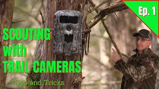 Scouting with Trail Cameras - Tips and Tricks