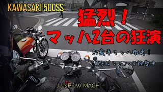 【KAWASAKI 500SS】猛烈！マッハ2台の狂演　37歳赤マッハ激走！JUNBOWマッハは調整中