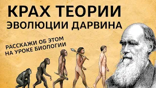 Ислам и теория эволюции Дарвина