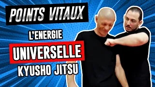 L'ÉNERGIE UNIVERSELLE et les POINTS VITAUX [Kyusho Jitsu]