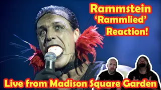 Musicians react to hearing Rammstein - Rammlied (Live from Madison Square Garden)!