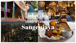 Tōkyō 東京 VLOG | Hidden gems of Sangenjaya | cafe ☕️ vintage ☎️ shrines ⛩ night view 🌃