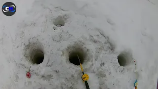 Зимняя рыбалка на мормышку. Еще не последний лед...