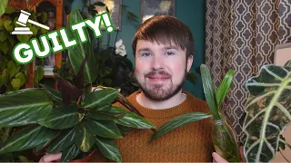 Bad Habits! Are You Guilty Of These With Your Plants? Here Are My 10 Bad Plant Habits!