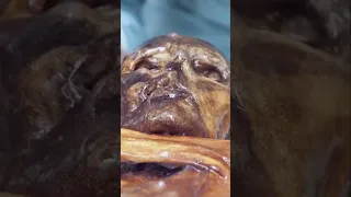 Ötzi the Iceman and the Copper Age World | #short