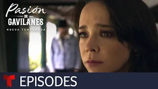 Pasión de Gavilanes, New Season | Episode 71 | Telemundo English