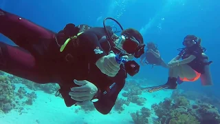 DivewithME @ Sharm El-Sheikh 2018 Part II