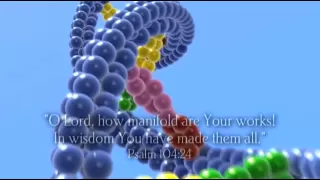 DNA - God's amazing programming; evidence for his existence