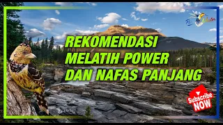 MASTERAN Rekomendasi Buat Melatih Power Dan Nafas Panjang, MASTERAN Kombinasi Kasar dan Roll Spe