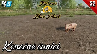 Farma Zlaté Pláně #23  🐷Koupě čuníků  a salát 🥗