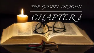 The Gospel Of John Chapter 8 NLT (Without Music)