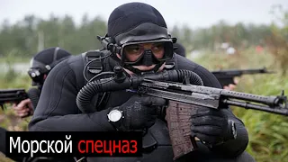 Russian Naval Spetsnaz | How Strong are They ?