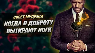 Не делай добра не получишь зла - Мудрая Притча