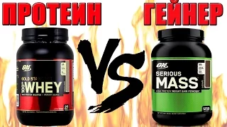 What is the best protein or Gainer