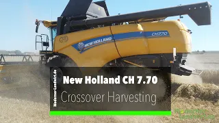 New Holland CH7.70 - Crossover Harvesting - Mähdrescher mit Zweitrommel-Dreschwerk und zwei Rotoren