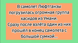 Еврей в самолете! 😁 Еврейские смешные до слез лучшие анекдоты. Подборка анекдотов про евреев