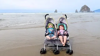 Reborn Toddler Twins Going to the Beach with Double Stroller