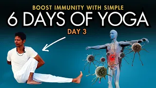 Day 3 - 6 days of Simple Yoga to Boost Immunity