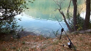 NP: Pêche à la carpe // Coup du soir en stalking