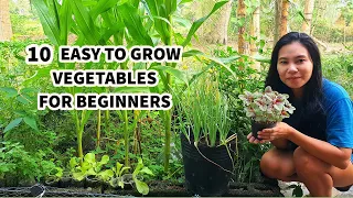 TOP 10 EASY TO GROW VEGETABLES FOR BEGINNERS | MGA GULAY NA MADALING ITANIM AT MABILIS LUMAKI