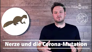 Die neue Corona-Gefahr: Nerze und das mutierte Virus!