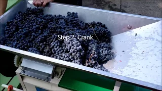 Using a Grape Crusher Destemmer
