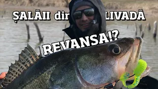 Am PESCUIT la SALAU in LIVADA cu naluci moi cu carlig ascuns si antibradis. Cu nasu - REVANSA!?!