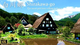 【world Heritage 世界遺産】Shirakawa-go ③白川郷の散策 Walking Around （Gifu, Japan）Higurashi When They Cry・ひぐらしの里