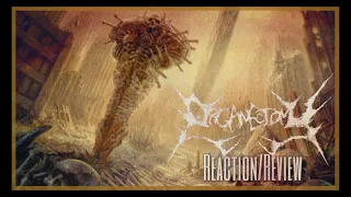 Organectomy | Concrete | Reaction/Review