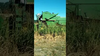 Уборка жита (рож) комбайн John Deere 945