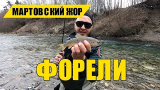 Как и на что ловить форель в горной реке?! Краткое пособие, небольшие советы.