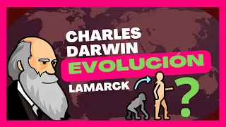 Teorías de la evolución | Fijismo, Lamarck, Darwin (Explicación 2023)